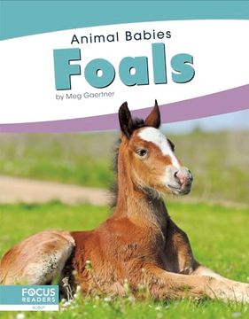 portada Foals (Animal Babies) (in English)