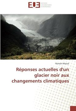 portada Réponses actuelles d'un glacier noir aux changements climatiques