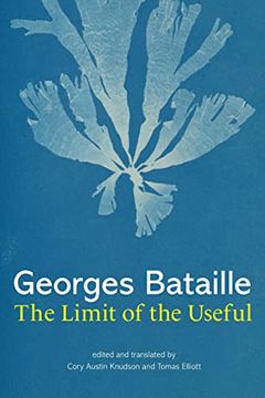 portada The Limit of the Useful (in English)