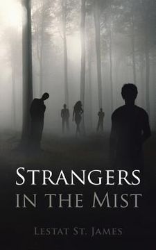 portada Strangers in the Mist