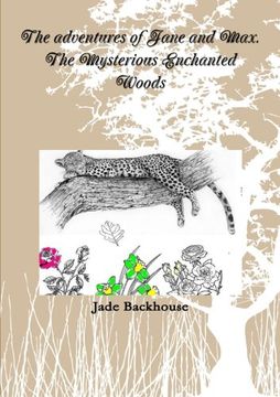 portada The adventures of Jane and Max. The Mysterious Enchanted Woods