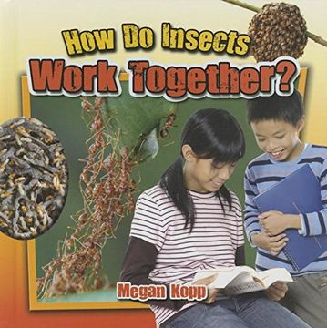 portada How do Insects Work Together? - Insects Close-Up 