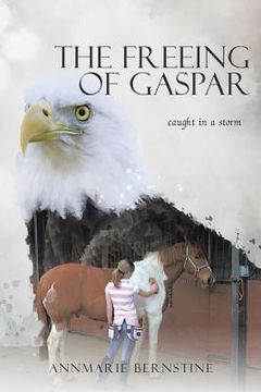 portada The Freeing of Gaspar: caught in a storm (en Inglés)