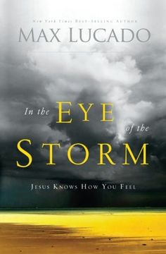 in the eye of the storm