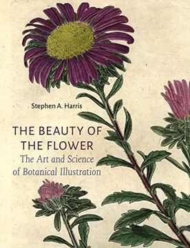portada The Beauty of the Flower: The Art and Science of Botanical Illustration (en Inglés)