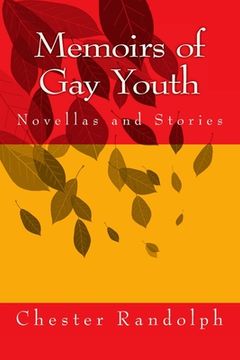 portada Memoirs of Gay Youth: Novellas and Stories (en Inglés)