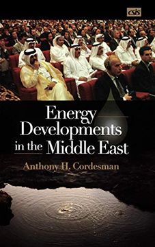portada Energy Developments in the Middle East (en Inglés)