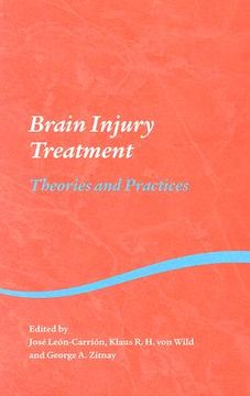 portada brain injury treatment: theories and practices (en Inglés)