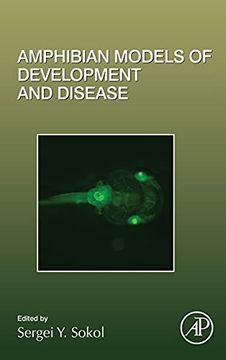 portada Amphibian Models of Development and Disease: Volume 145 (Current Topics in Developmental Biology, Volume 145) 