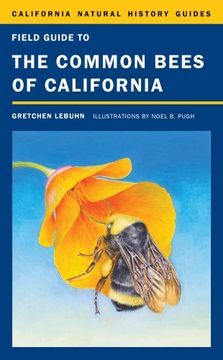 portada Field Guide to the Common Bees of California: Including Bees of the Western United States (California Natural History Guides)