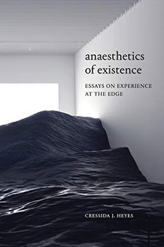 portada Anaesthetics of Existence: Essays on Experience at the Edge (in English)