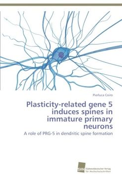 portada Plasticity-related gene 5 induces spines in immature primary neurons: A role of PRG-5 in dendritic spine formation