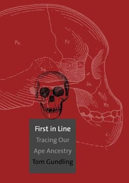 portada First in Line: Tracing our ape Ancestry (en Inglés)