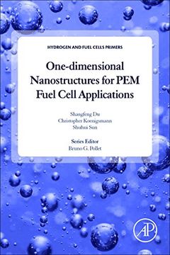 portada One-dimensional Nanostructures for PEM Fuel Cell Applications (Hydrogen and Fuel Cells Primers)