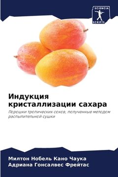 portada Индукция кристаллизаци&# (in Russian)