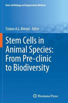 portada Stem Cells in Animal Species: From Pre-Clinic to Biodiversity