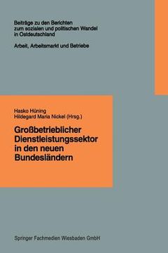 portada Großbetrieblicher Dienstleistungssektor in Den Neuen Bundesländern: Finanzdienstleistungen, Einzelhandel, Krankenpflege (en Alemán)