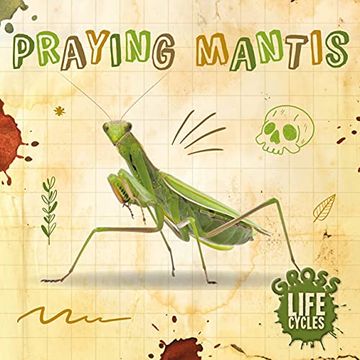 portada Praying Mantis (Gross Life Cycles) (in English)