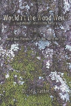 portada Wouldn't the Wood Weird: a post-existential romantic fantasy, or Impractical Prayers from the Spindle of the Void