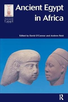 portada Ancient Egypt in Africa (en Inglés)
