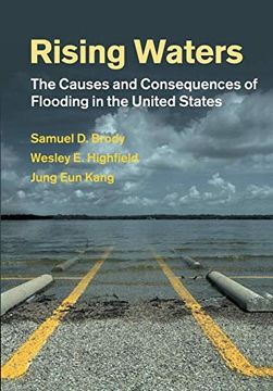 Rising Waters: The Causes and Consequences of Flooding in the United States