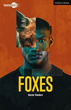 portada Foxes (in English)