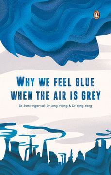 portada Why We Feel Blue When the Air Is Grey (en Inglés)