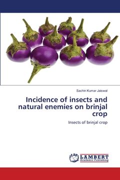portada Incidence of insects and natural enemies on brinjal crop