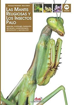 portada Las Mantis Religiosa y los Insectos Palo