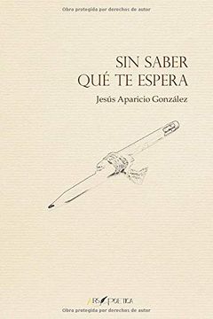 portada Sin Saber qué te Espera: (Poesía 2015)