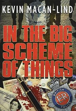 portada In the big Scheme of Things (in English)