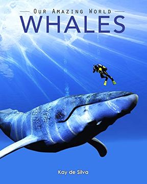 portada Whales: Amazing Pictures & fun Facts on Animals in Nature (Our Amazing World Series Book) (en Inglés)
