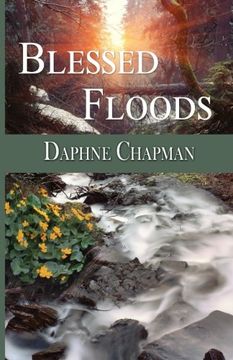 portada Blessed Floods