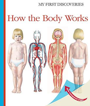 portada How the Body Works (my First Discoveries) (en Inglés)