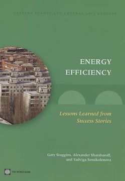 portada energy efficiency: lessons learned from success stories (en Inglés)