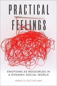 portada Practical Feelings: Emotions as Resources in a Dynamic Social World (en Inglés)