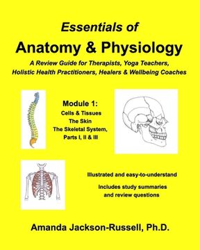 portada Essentials of Anatomy and Physiology, A Review Guide, Module 1: For Therapists, Yoga Teachers, Holistic Healers & Wellbeing Coaches (in English)