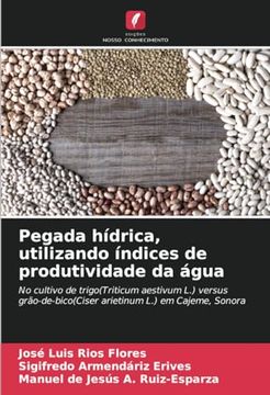 portada Pegada Hídrica, Utilizando Índices de Produtividade da Água: No Cultivo de Trigo (en Portugués)