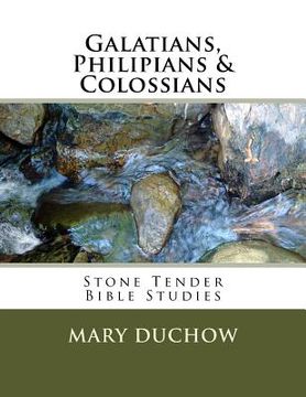 portada Galatians, Philippians & Colossians: Stone Tender Bible Studies (en Inglés)