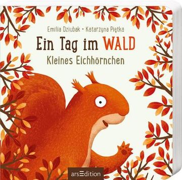 portada Ein tag im Wald: Kleines Eichhörnchen (en Alemán)
