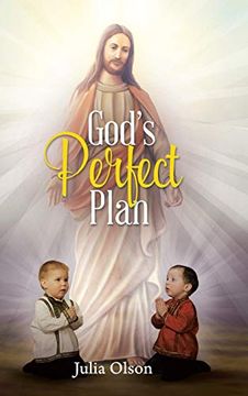 portada God's Perfect Plan (in English)