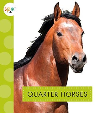 portada Quarter Horses (Spot Horses) 
