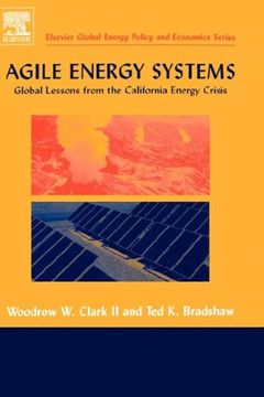 portada Agile Energy Systems: Global Lessons From the California Energy Crisis (en Inglés)