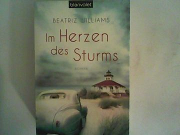portada Im Herzen des Sturms: Roman (Die East-Coast-Reihe, Band 1) (in German)