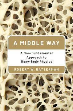 portada A Middle Way: A Non-Fundamental Approach to Many-Body Physics (en Inglés)