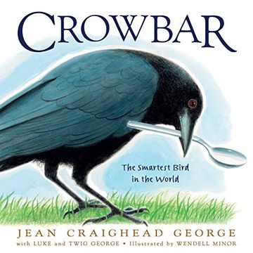 portada Crowbar: The Smartest Bird in the World (en Inglés)
