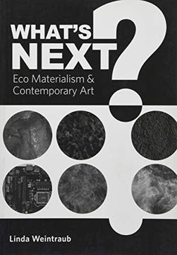 portada What's Next? Eco Materialism and Contemporary art (en Inglés)