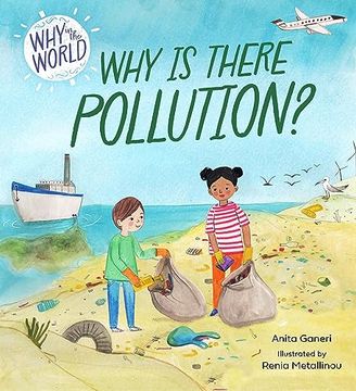 portada Why in the World: Why is There Pollution? (Paperback)