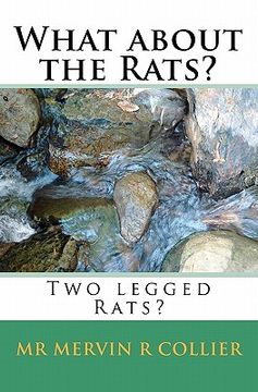 portada what about the rats? (in English)