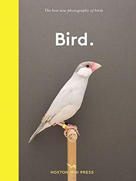 portada New Photography of the Bird